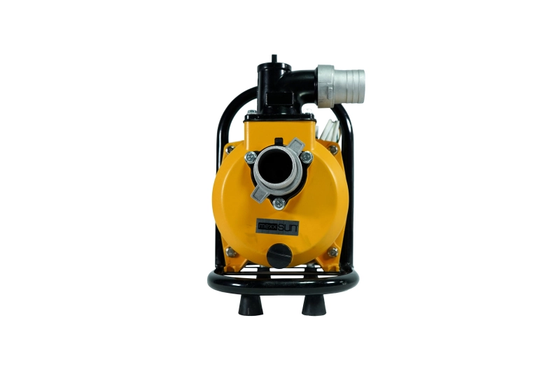 MEXXSUN DC YÜZEY POMPA 1.5 HP 1100W (SFP20-17-1100W/96V)